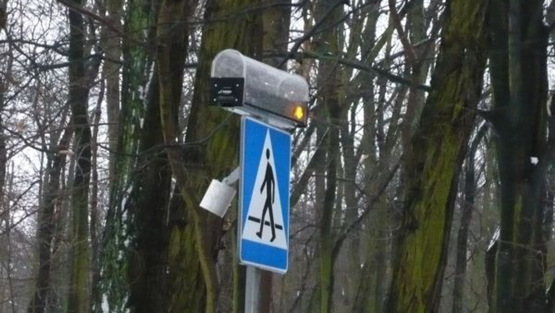 Aktywne przejścia dla pieszych Lunaro