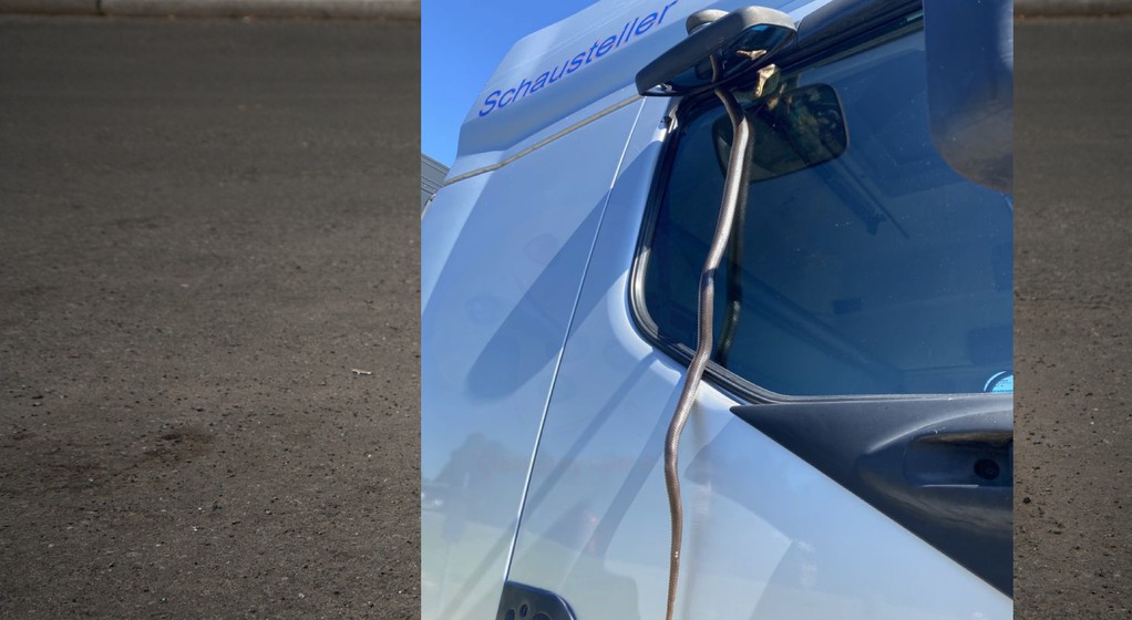 TIR, wąż przytrzaśnięty szybą