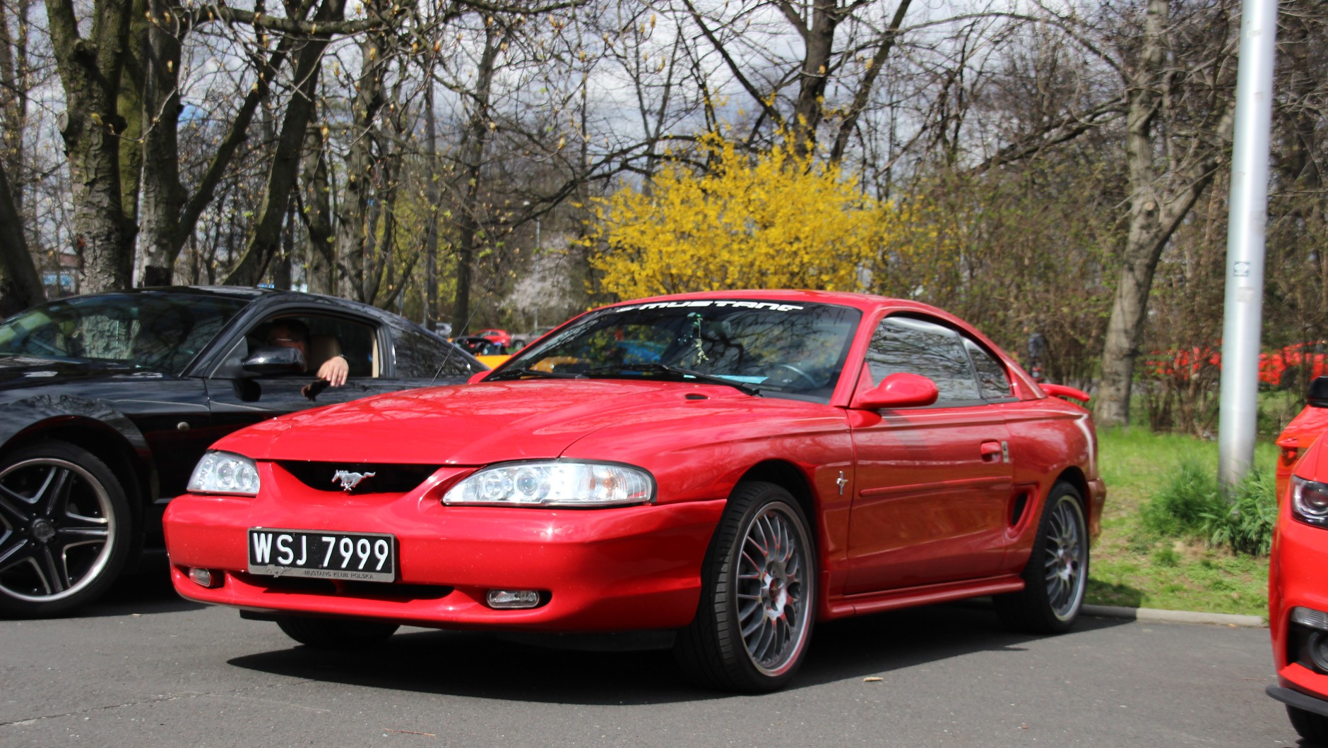 XV Ogólnopolski Zlot Mustangów