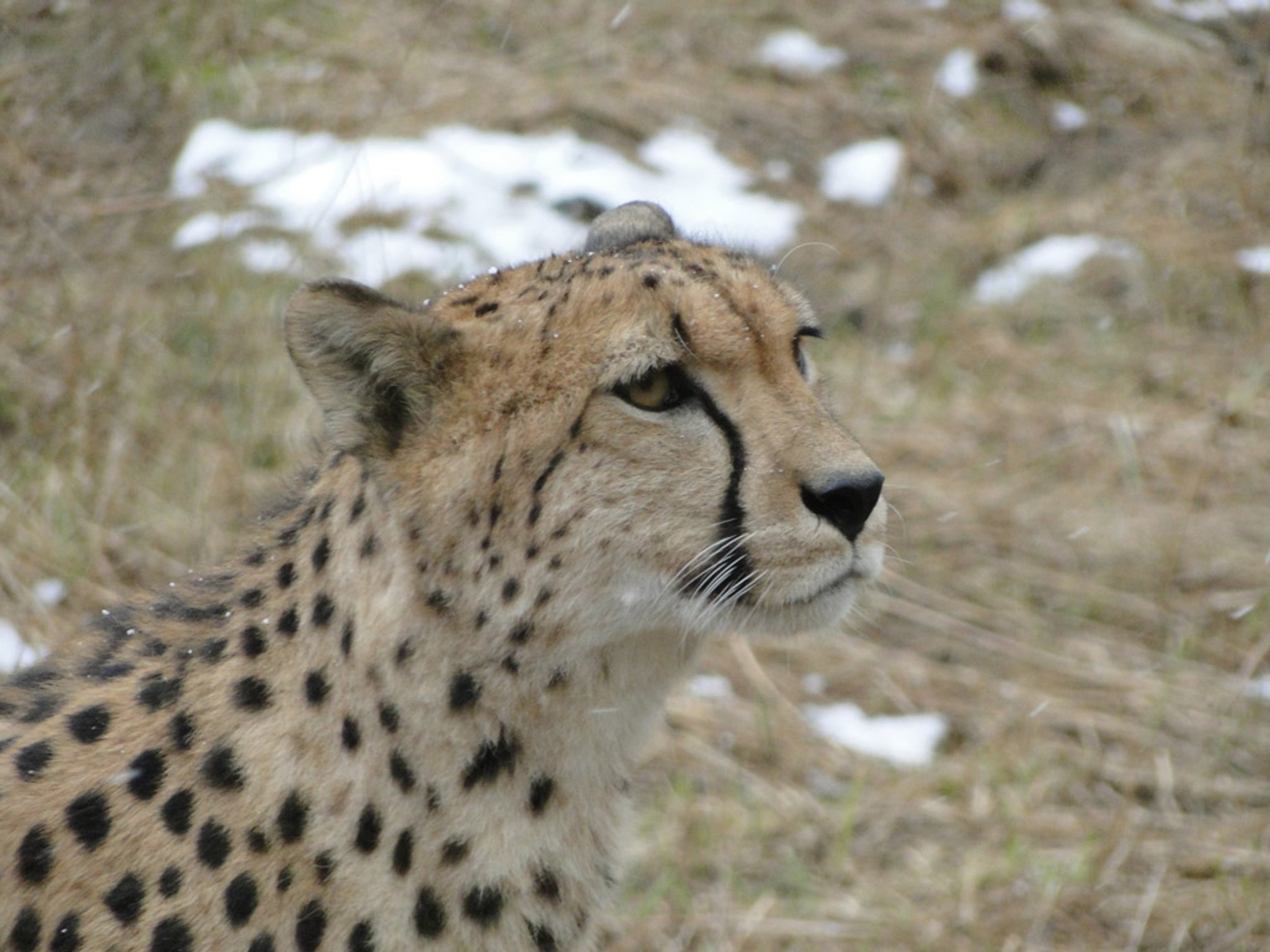 Rodzinne podróże z Fordem Grand C-Maxem: weekend nad Bałtykiem