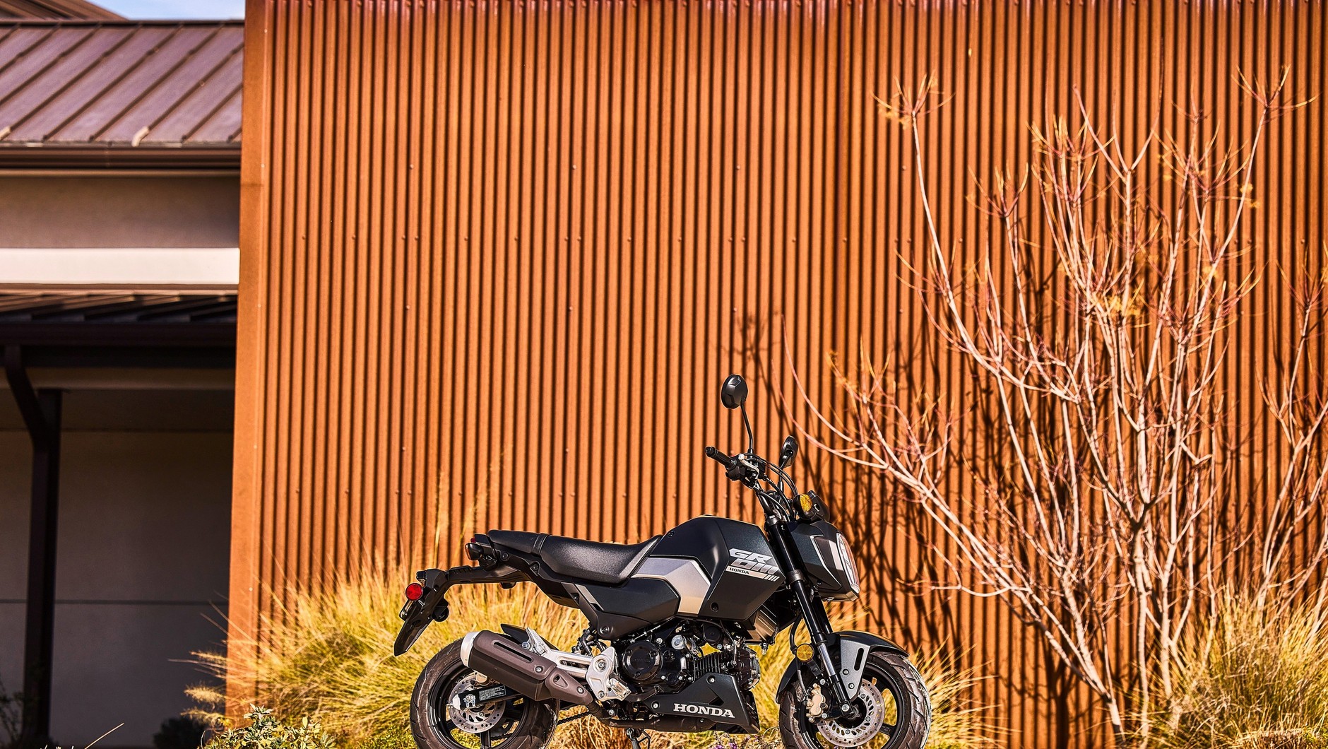 HONDA MSX125 GROM