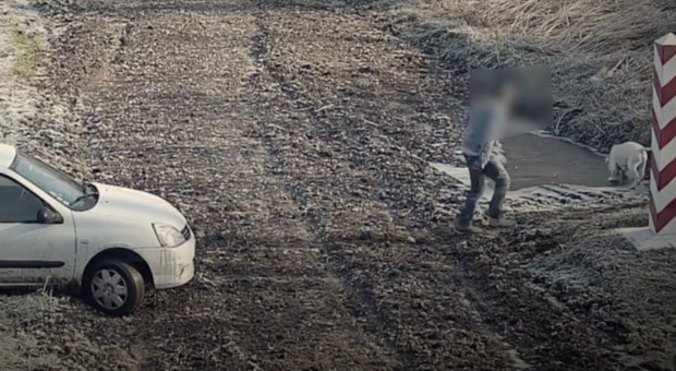 Interwencja przy granicy z Ukrainą. Straż Graniczna obserwowała białe auto [WIDEO]