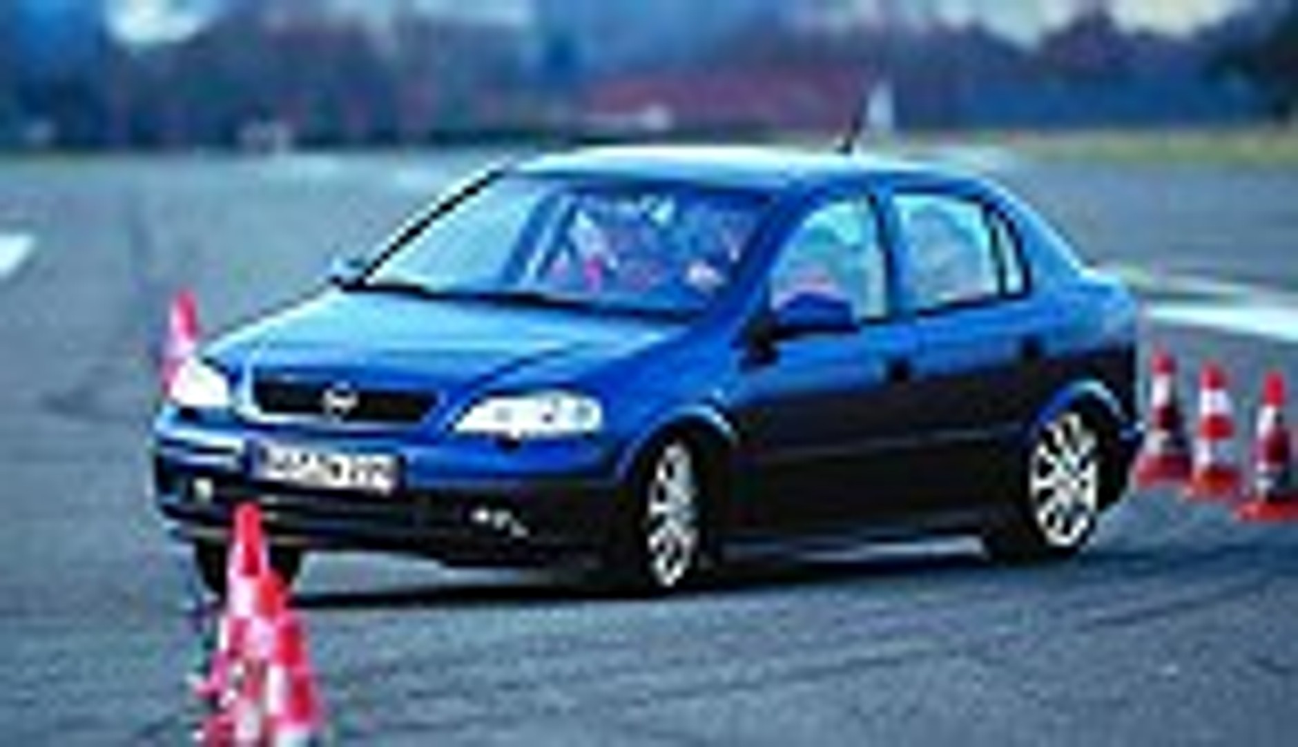 Szara myszka wychodzi z cienia