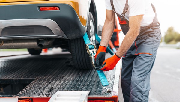 shutterstock 1938123166