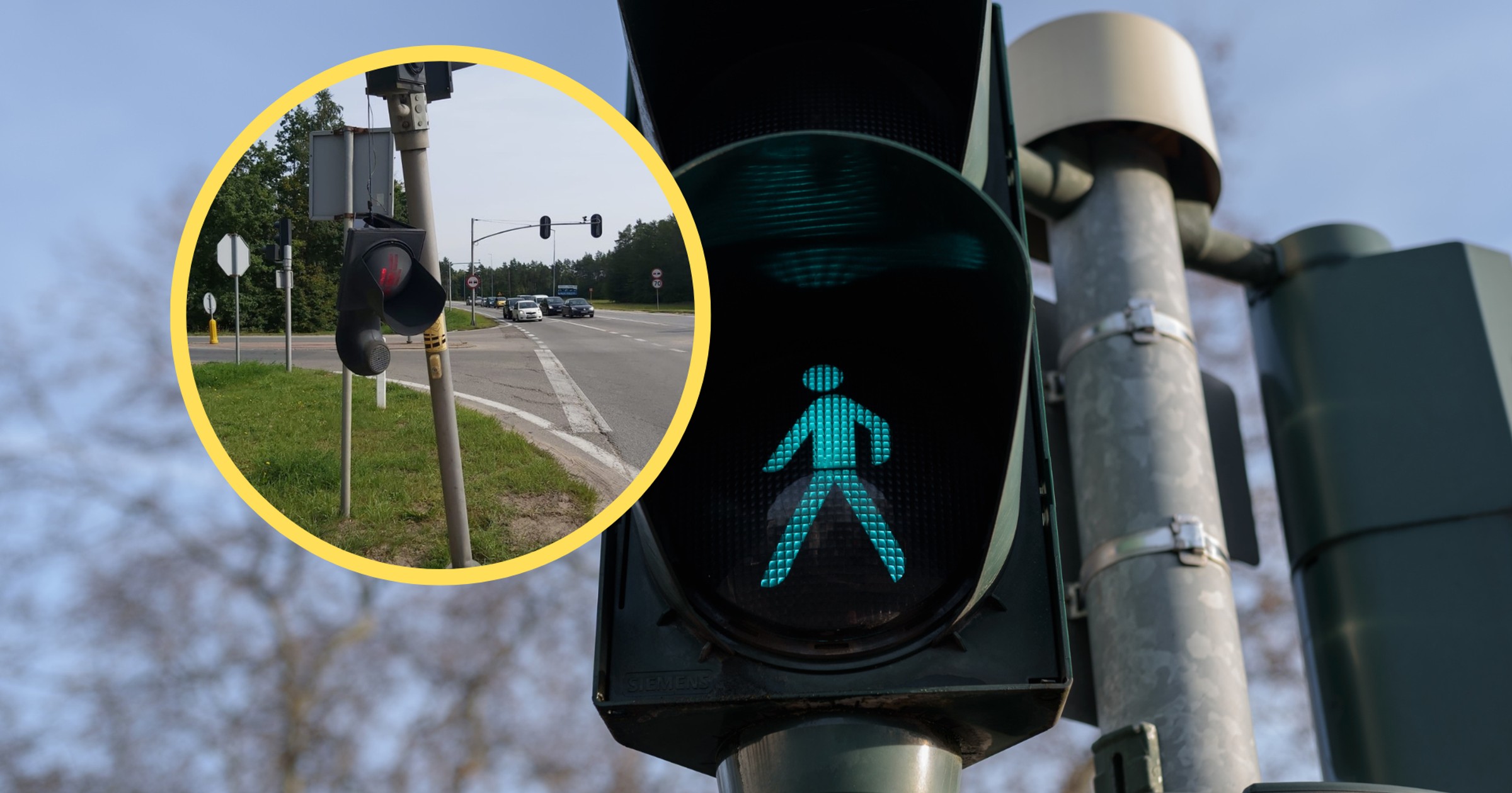 Wystraszył ją pająk. Wjechała w sygnalizację (fot. screen: wejherowo.policja.gov.pl)