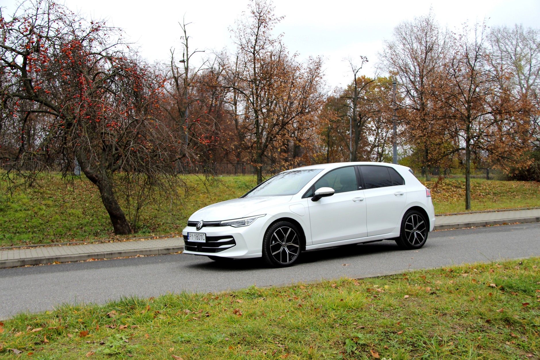 Volkswagen Golf eHybrid Edition 50