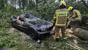 Drzewo runęło na BMW z kierowcą. Przypominamy, jak ubiegać się o odszkodowanie