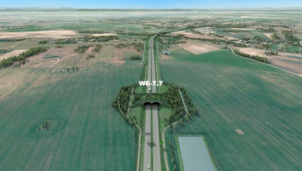 S6 Kołbaskowo - Dołuje - wizualizacja