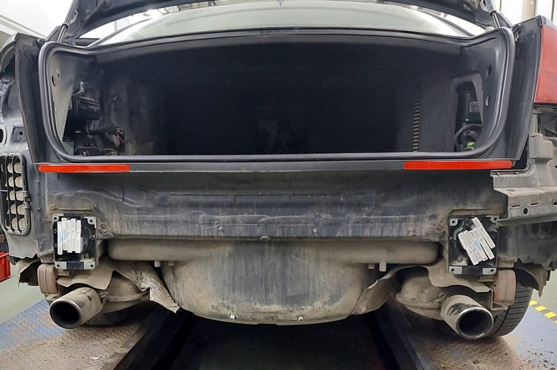 Labrador pomógł wykryć nielegalne papierosy