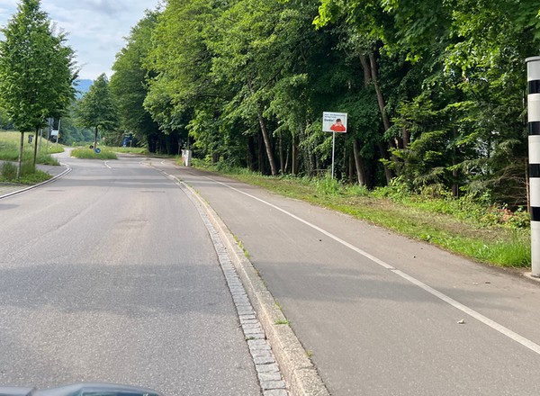 Dostał zdjęcie z fotoradaru. Ma zapłacić 400 tys. zł, bo jechał 77 km na godz. w mieście