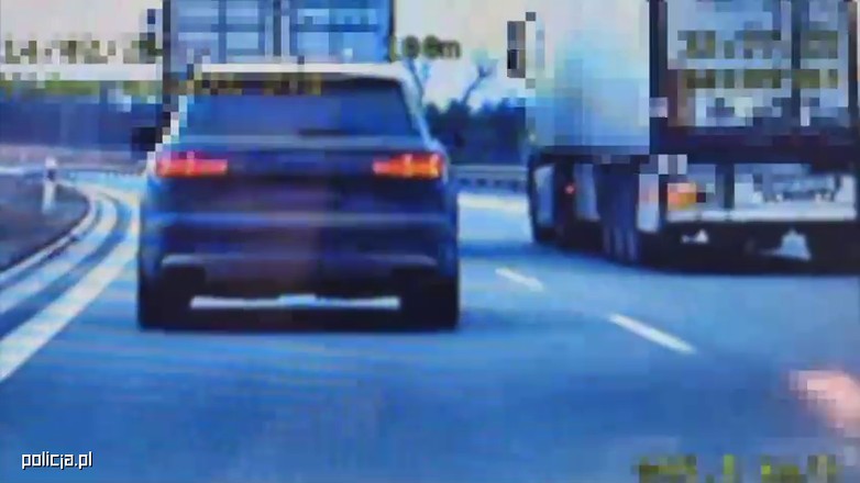 Wyścig słoni w oku policyjnego wideorejestratora