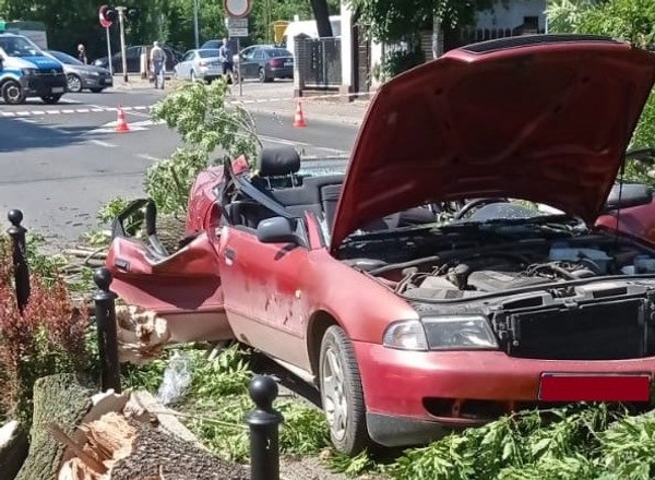 Drzewo przewróciło się wprost na jadący samochód - poszkodowane dwie osoby