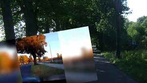 Tragiczny wypadek rejestrował na żywo na Facebooku. Uderzył w drzewo