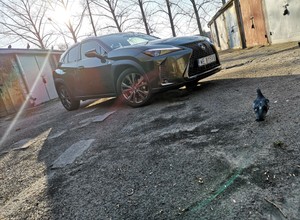 Lexus UX 200 F Sport – preludium do hybrydy | TEST