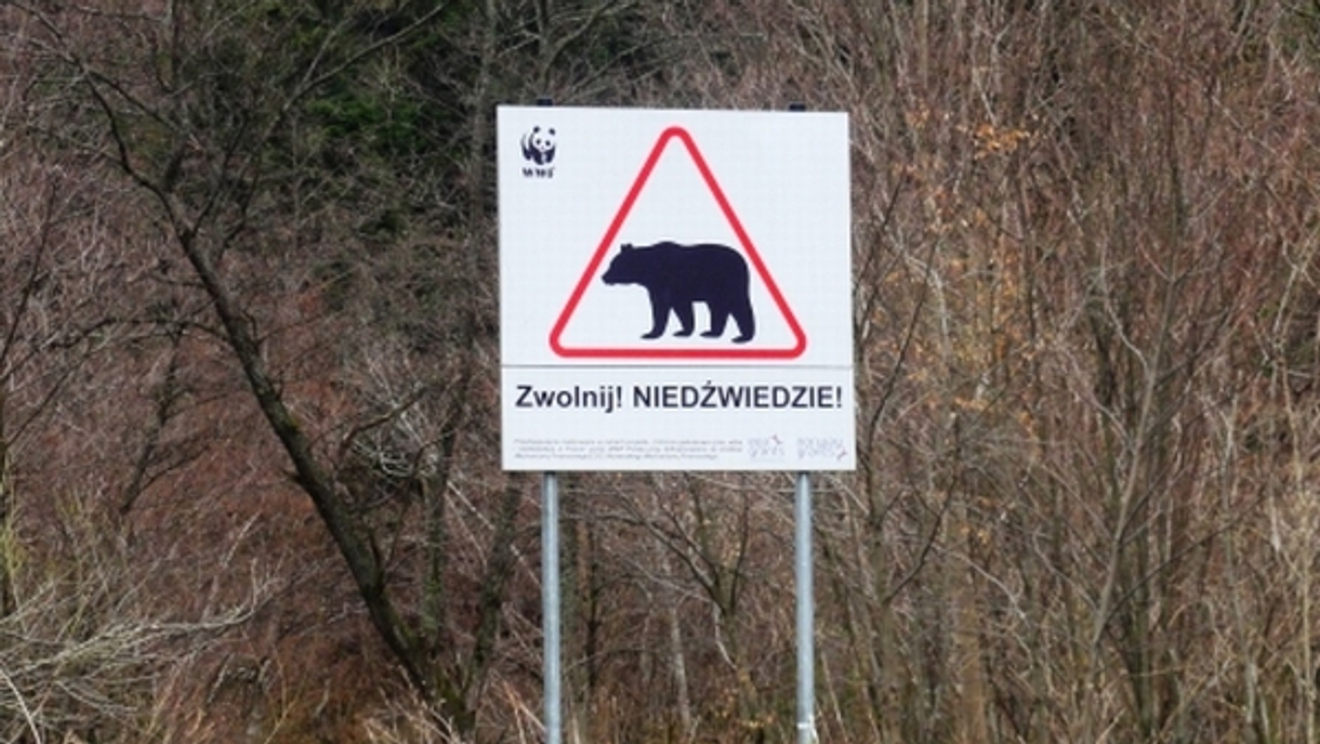 Biez z Czadów