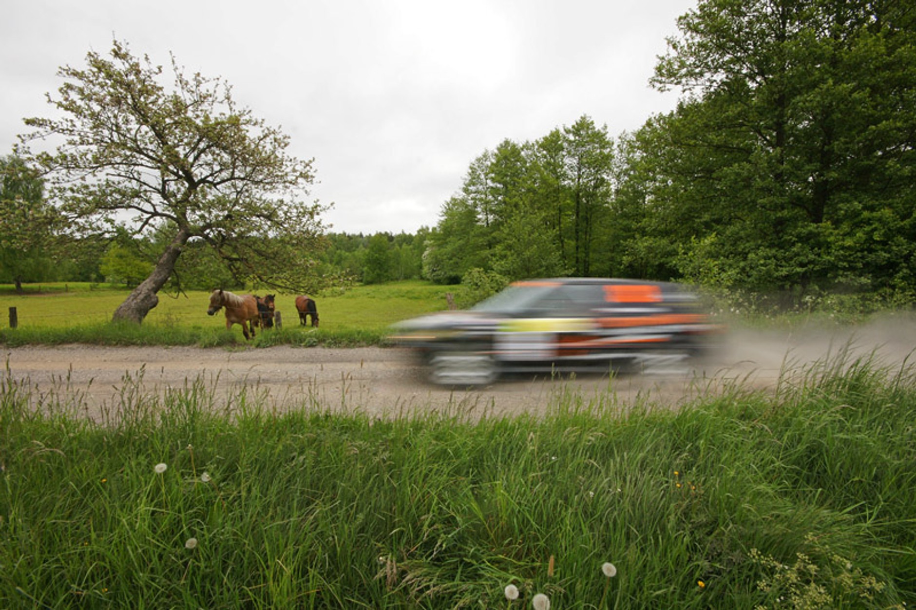 Rajd Agapit 2008: fotogaleria Dawida Konopki