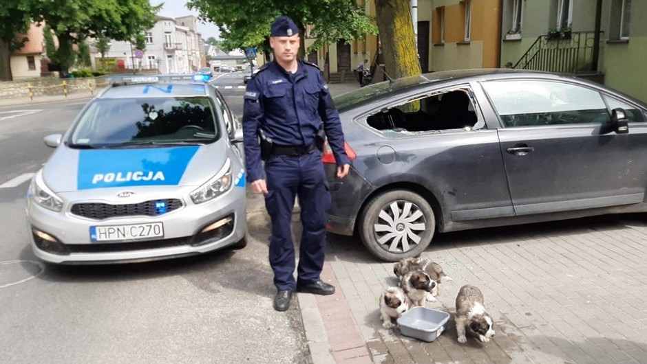 Policjanci uratowali zamknięte w aucie szczeniaki