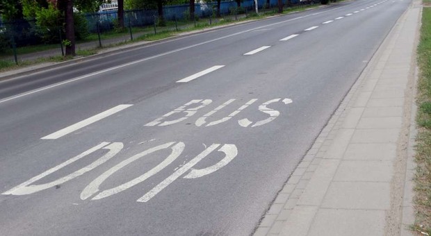 Pas DOP: kto może na nim jeździć i co oznacza ten skrót?