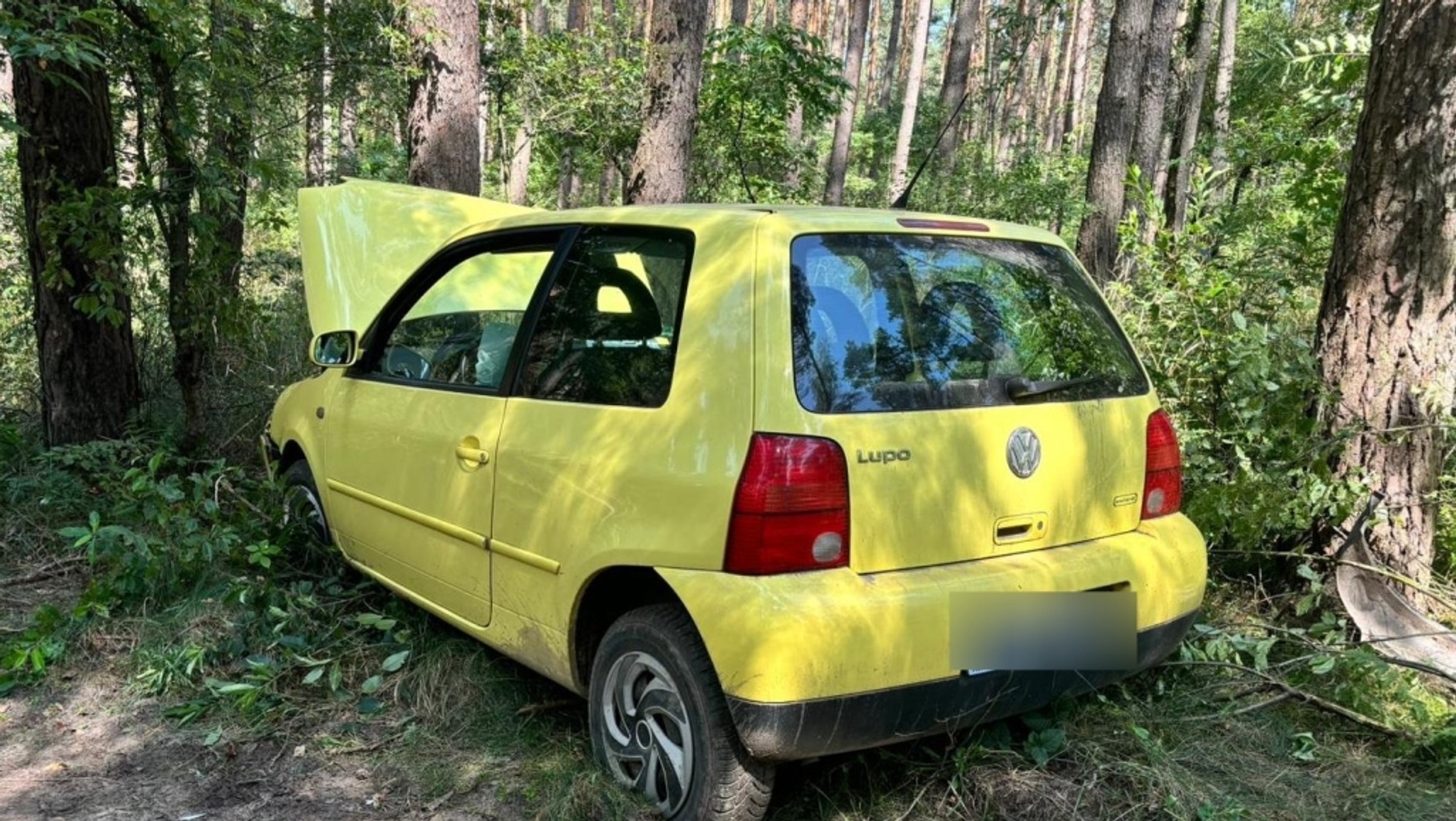 Kierował Lupo i uderzył w drzewo. Przekroczył, ale nie prędkość