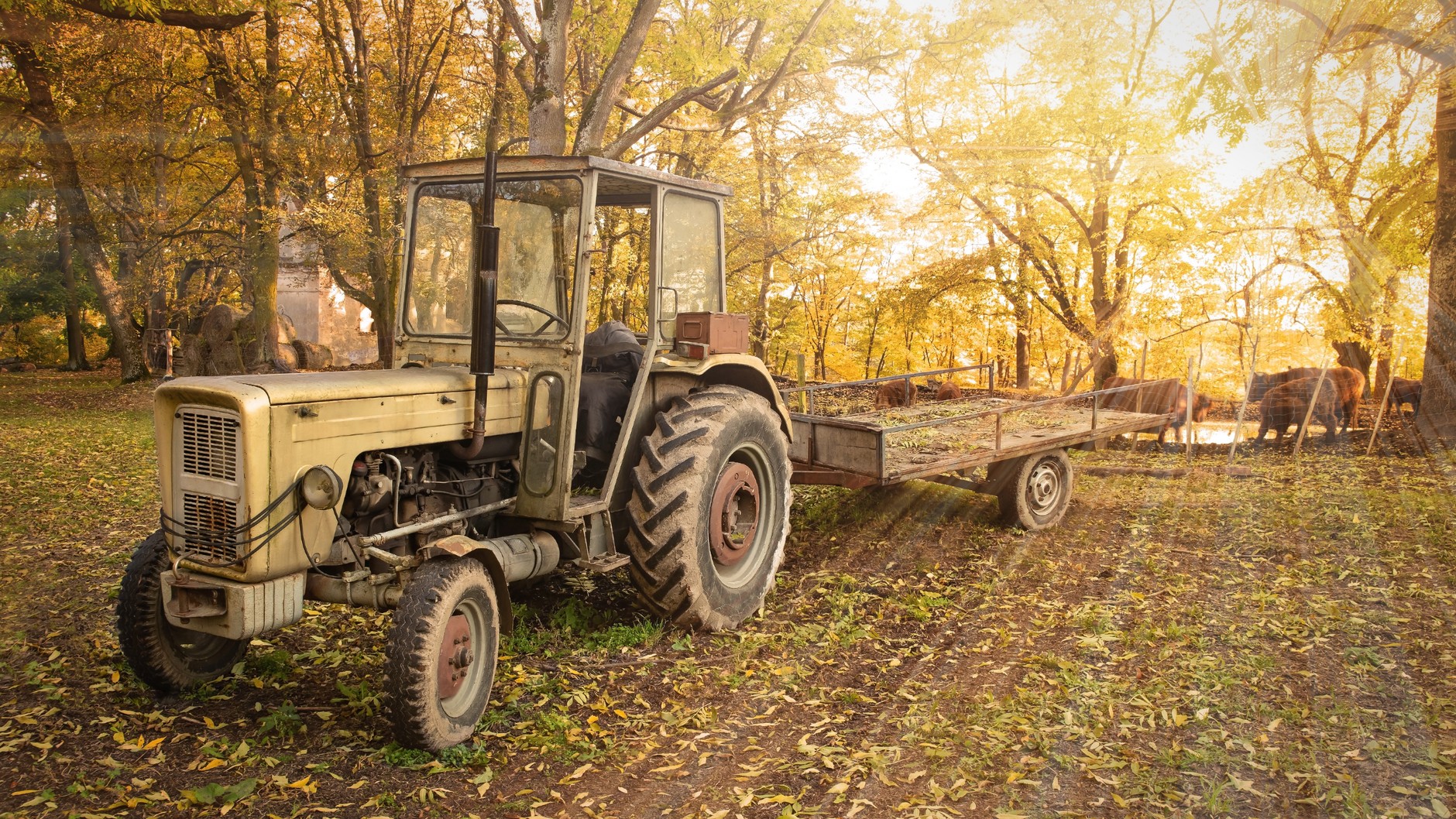 Ursus C-360