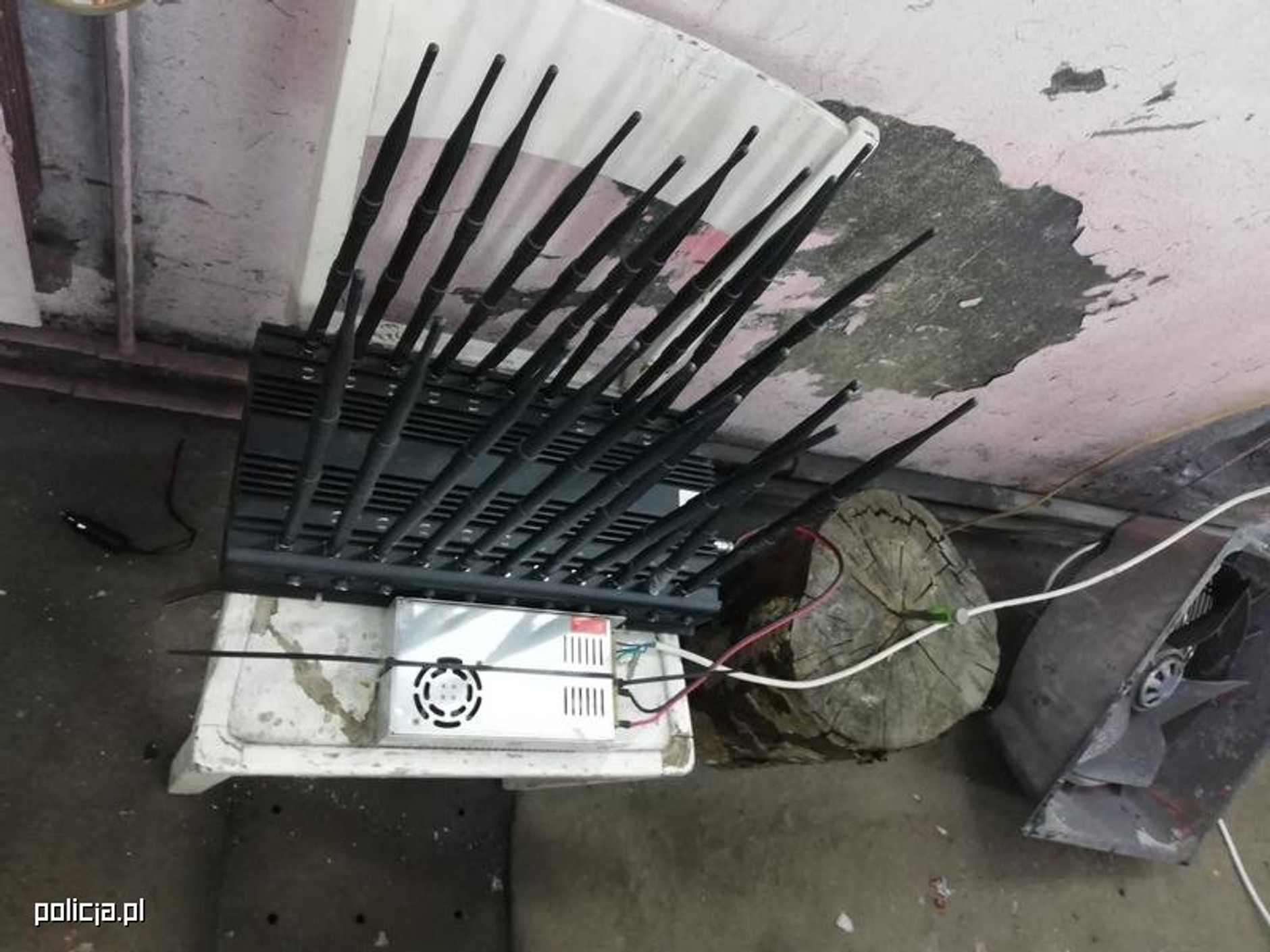 Policjanci z Leszna zatrzymali trzech mężczyzn podejrzanych o kradzieże luksusowych aut