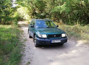Do lasu na grzyby samochodem albo rowerem? Są zasady, są i wyjątki – wyjaśniamy