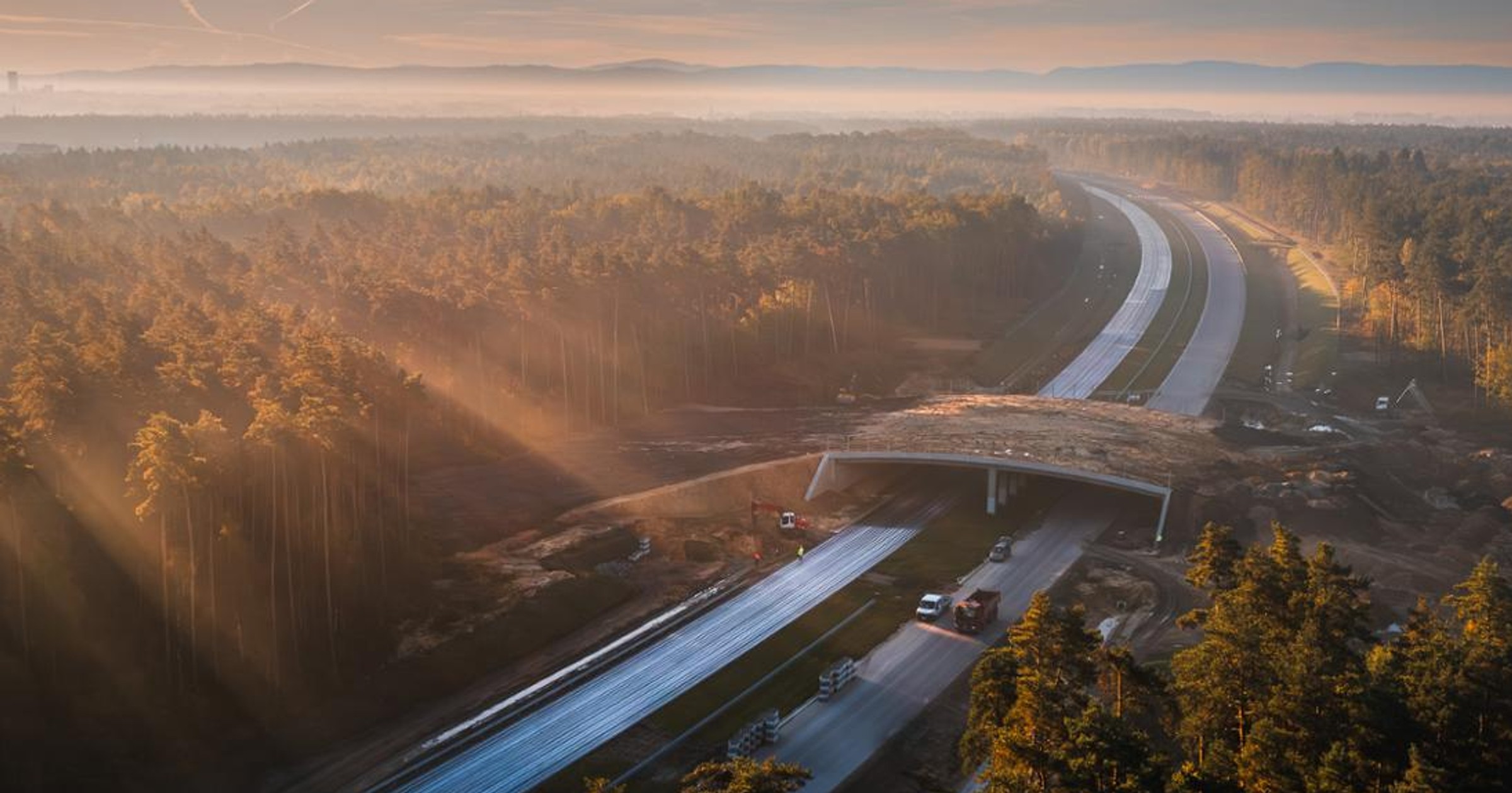 Droga ekspresowa S11