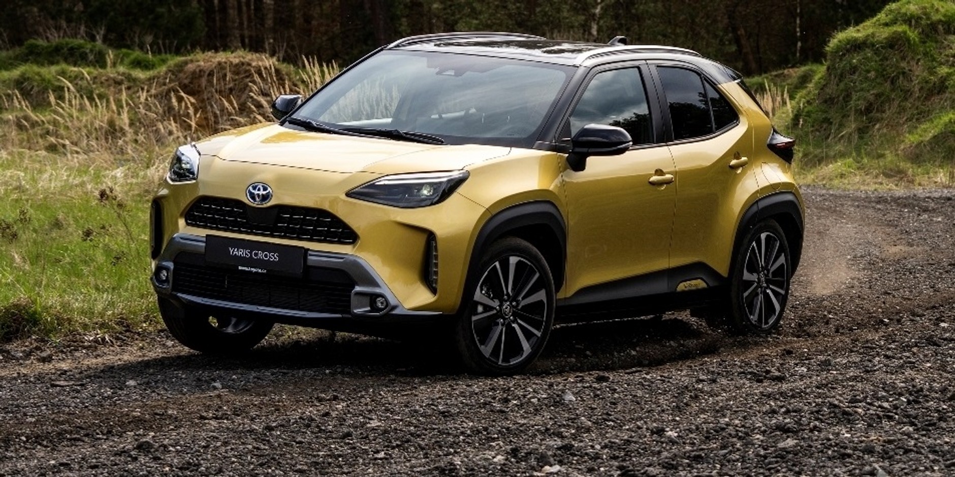 "Warm Gold" z palety Toyoty