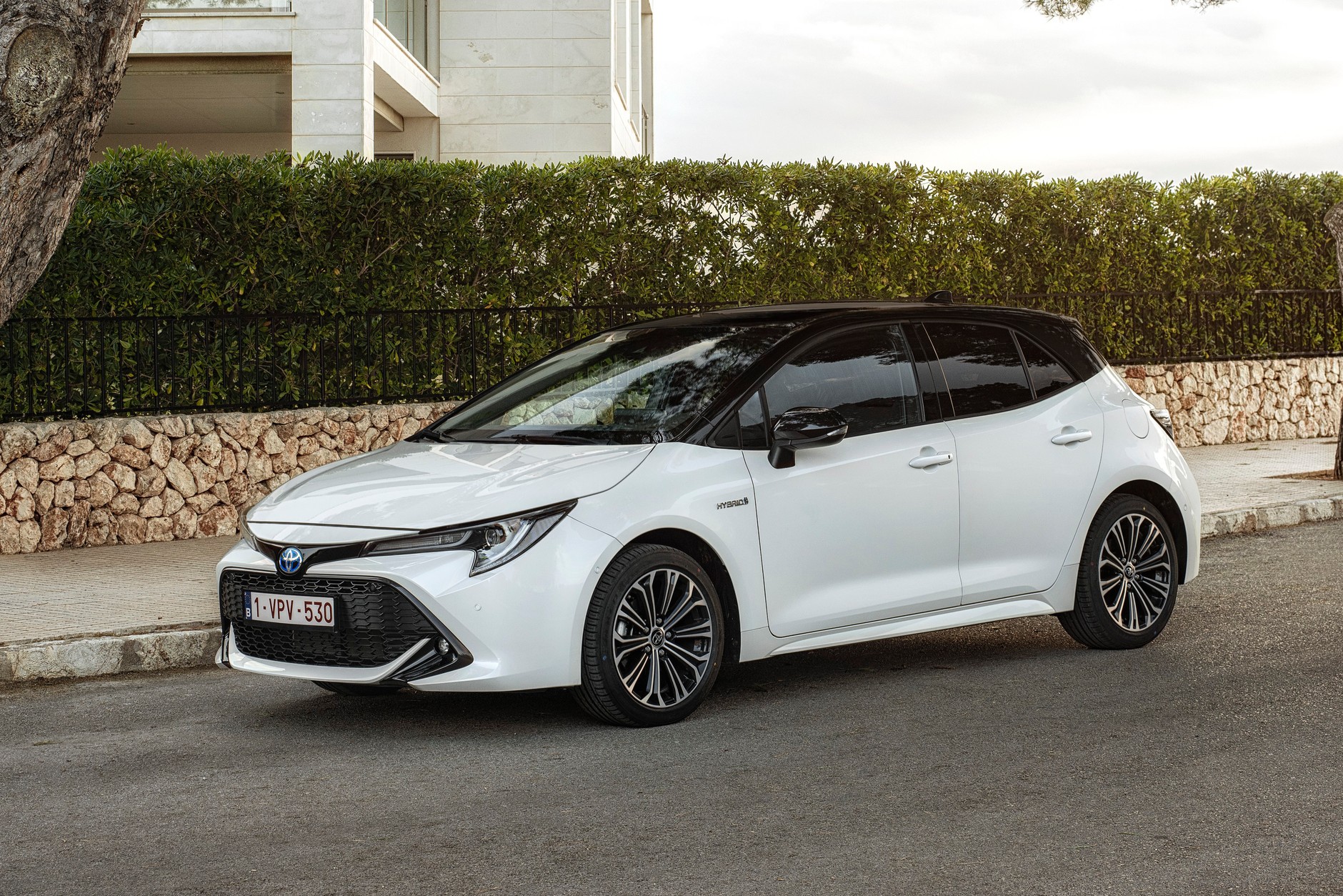 Toyota Corolla – 1588 egzemplarzy