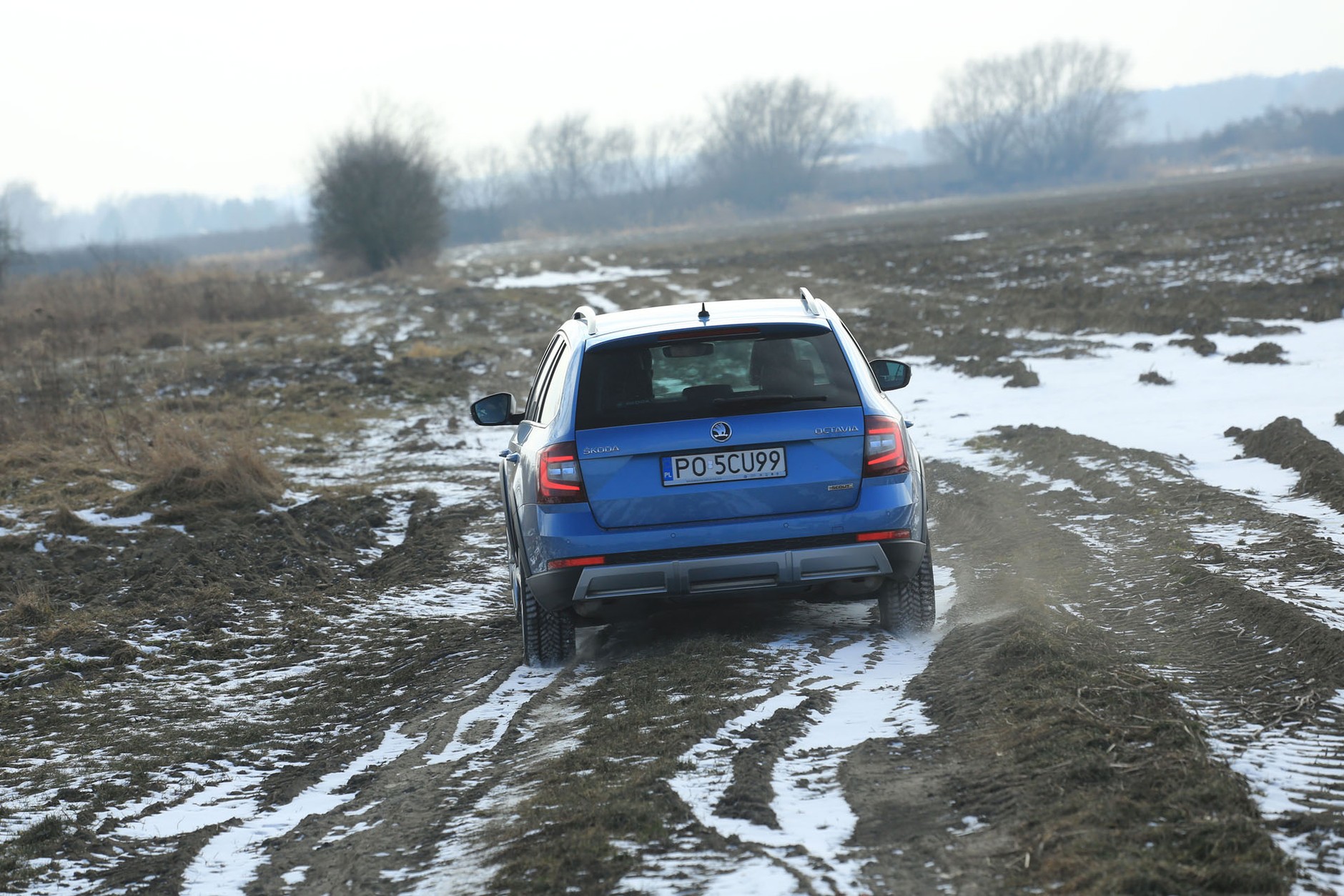 Skoda Octavia Scout 1.8 TSI - kosztuje jak SUV, a jeździ dużo lepiej