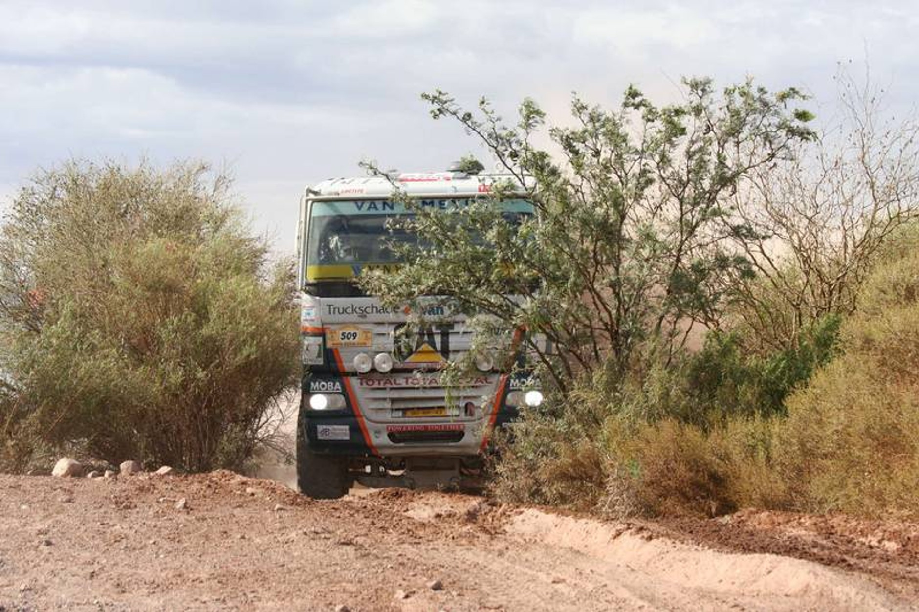 Rajd Dakar 2009: radość na mecie (fotogaleria 3.)