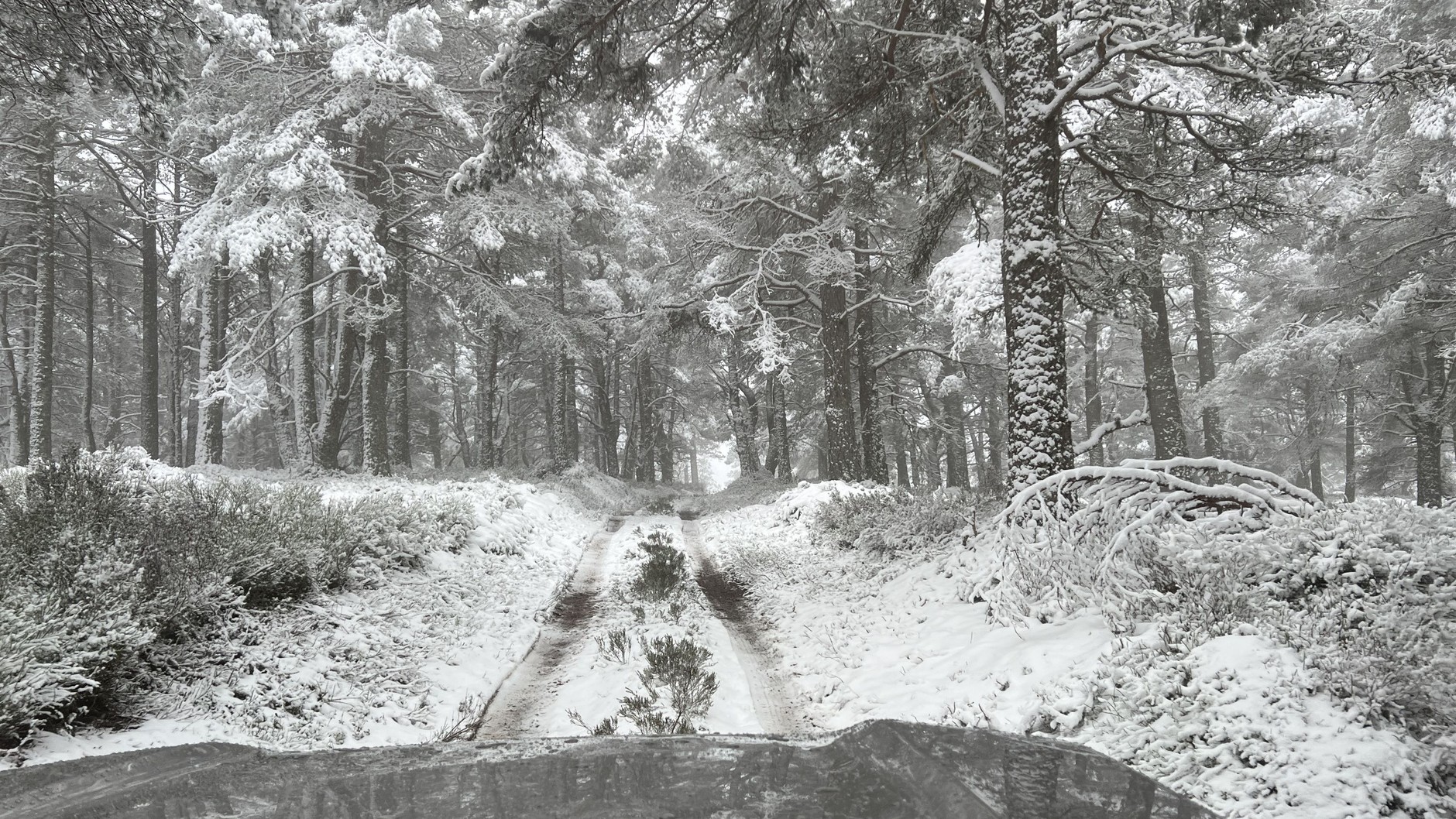 Toyota Land Cruiser (seria 250; na rynku od 2024 r.)