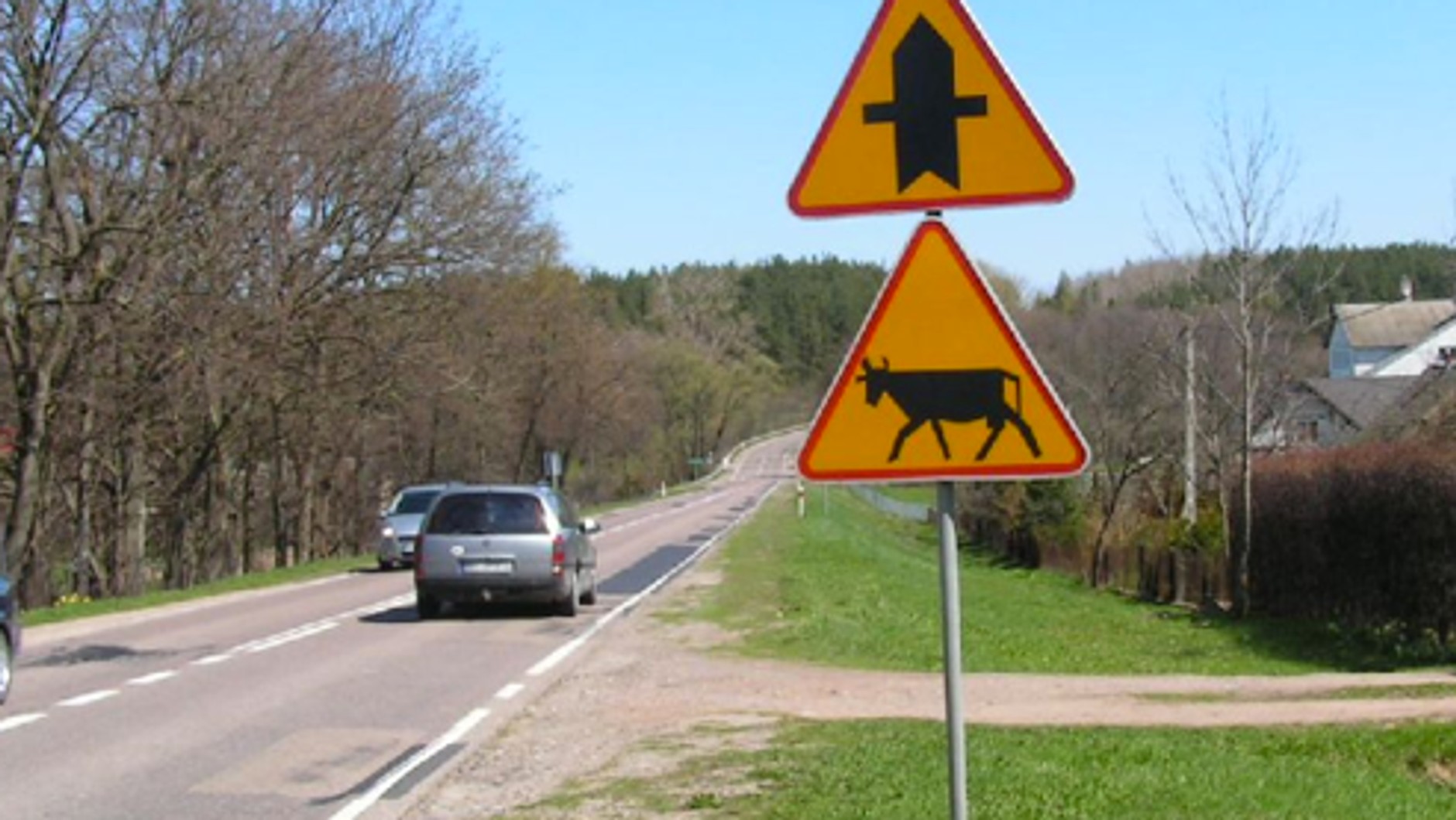 Zwierzęta gospodarskie
