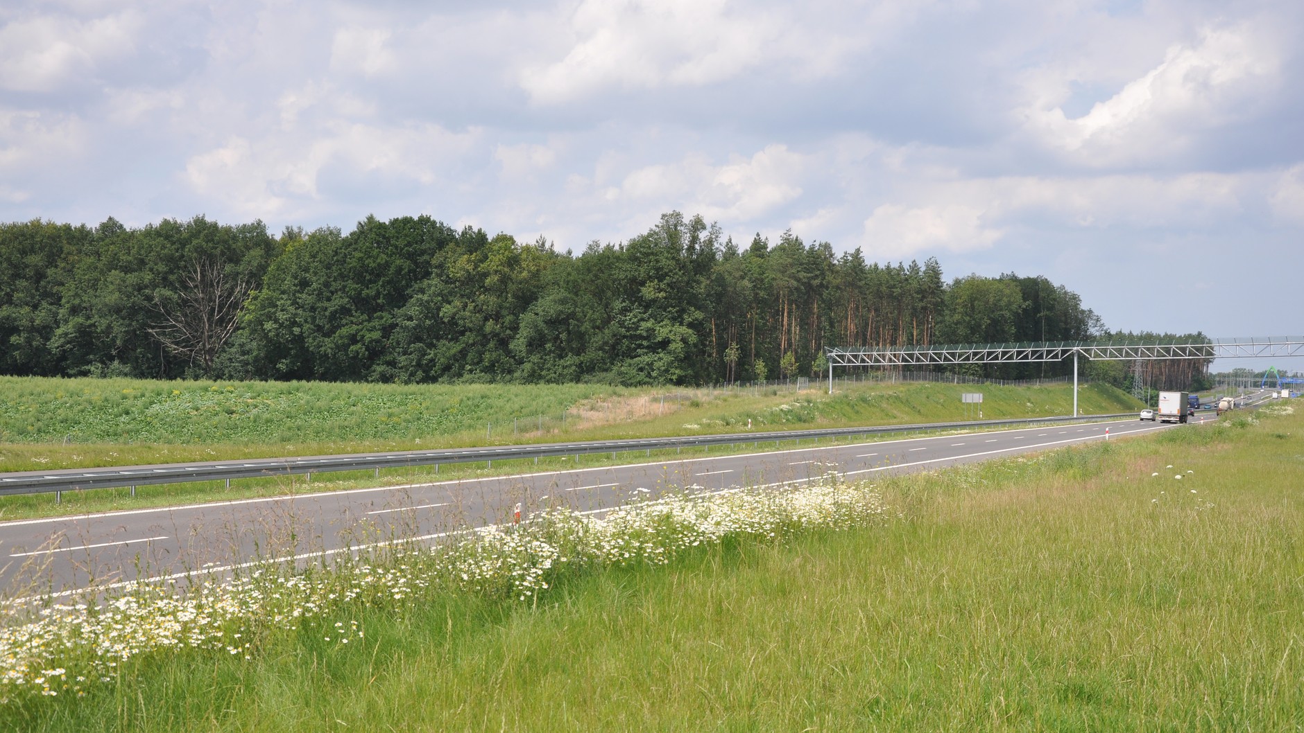 Bramownice na S3 i S8