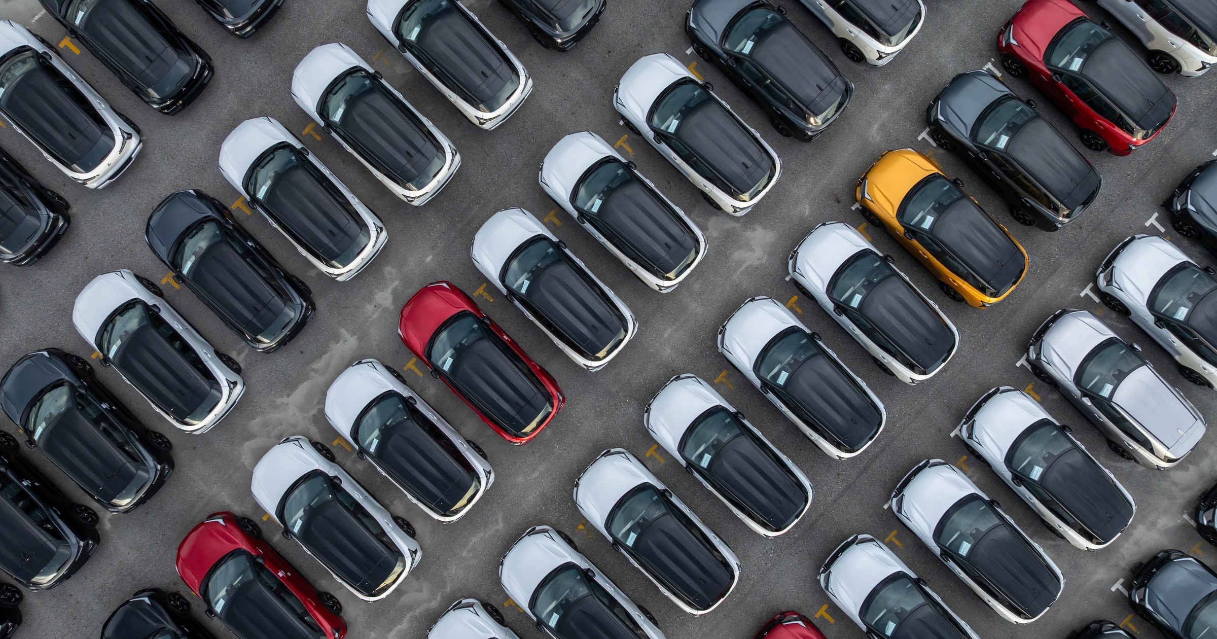 Nowe samochody na placu