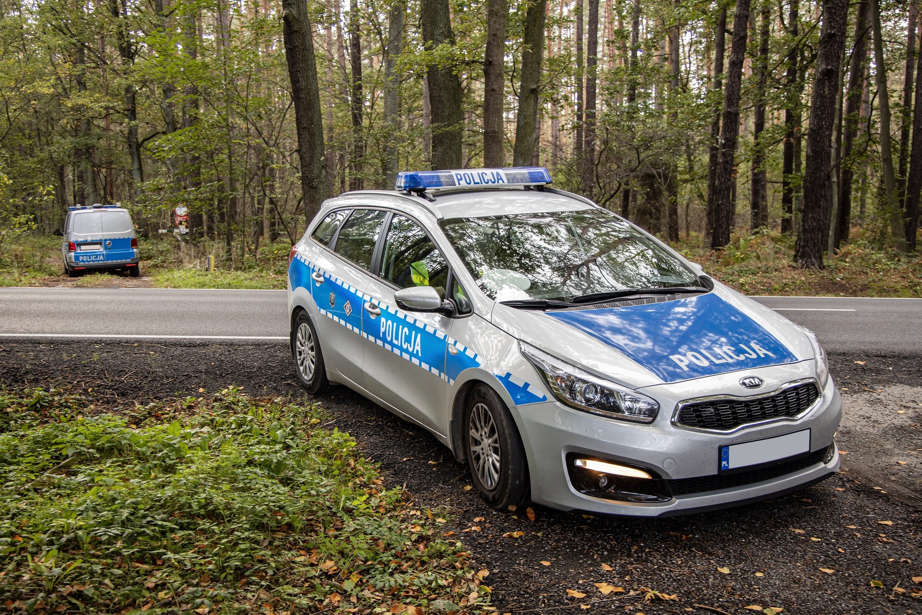 Policja w lesie