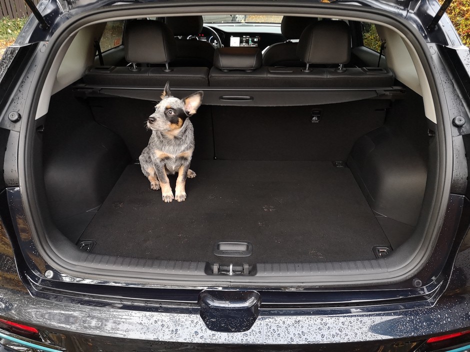 Kia e-Niro 64 kWh „L”