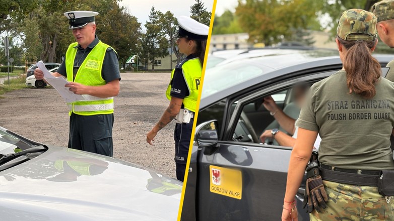 Wspólne działania służb. Kontrole taksówek i przewozów na aplikacje