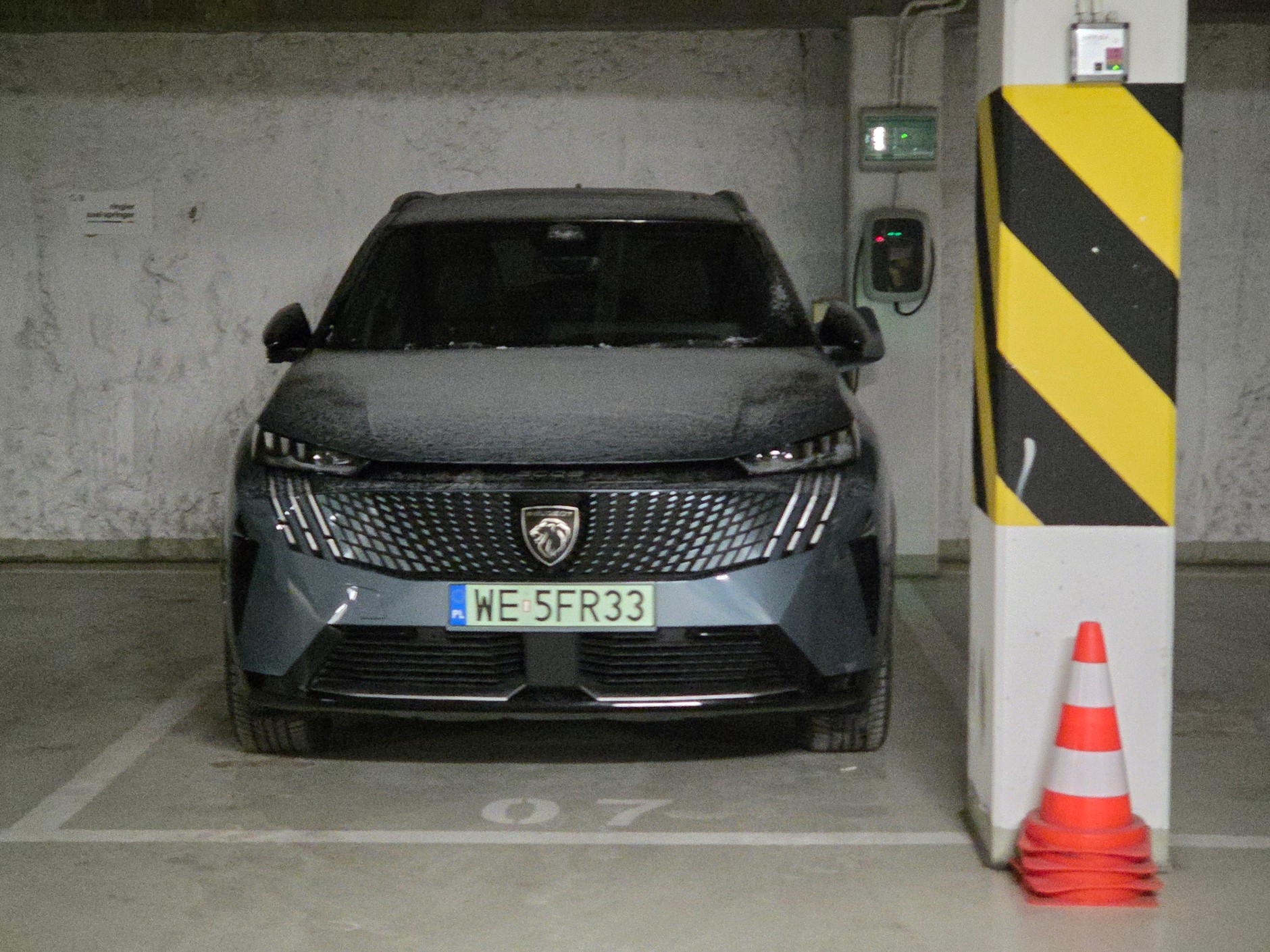 Peugeot się doczekał. Ciepły garaż i gniazdko