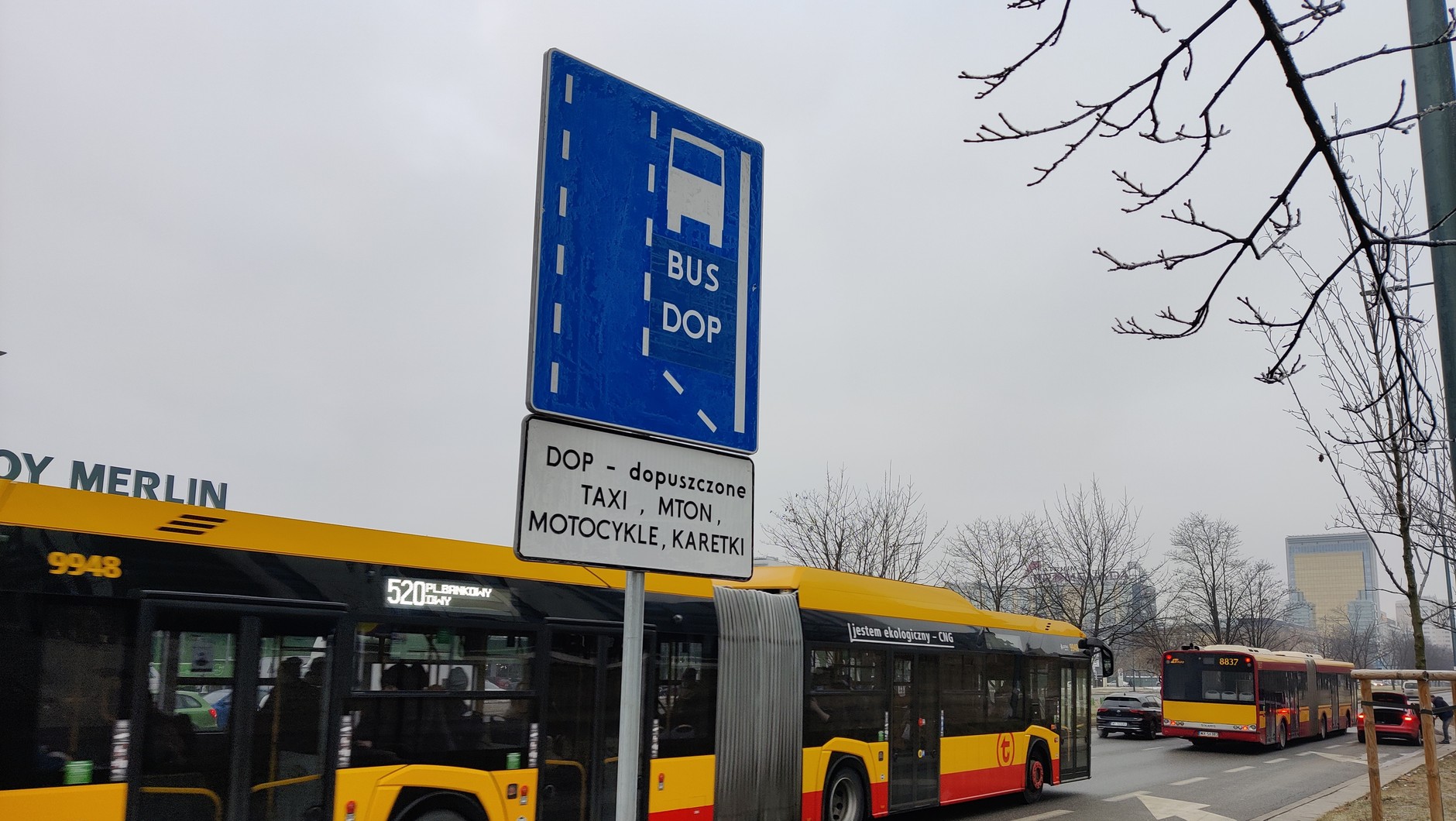 Znak D-11 z napisem BUS i DOP