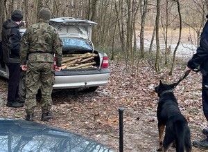 Policja i straż zauważyły w lesie auto z otwartym bagażnikiem. Kierowca nie miał żadnej wymówki