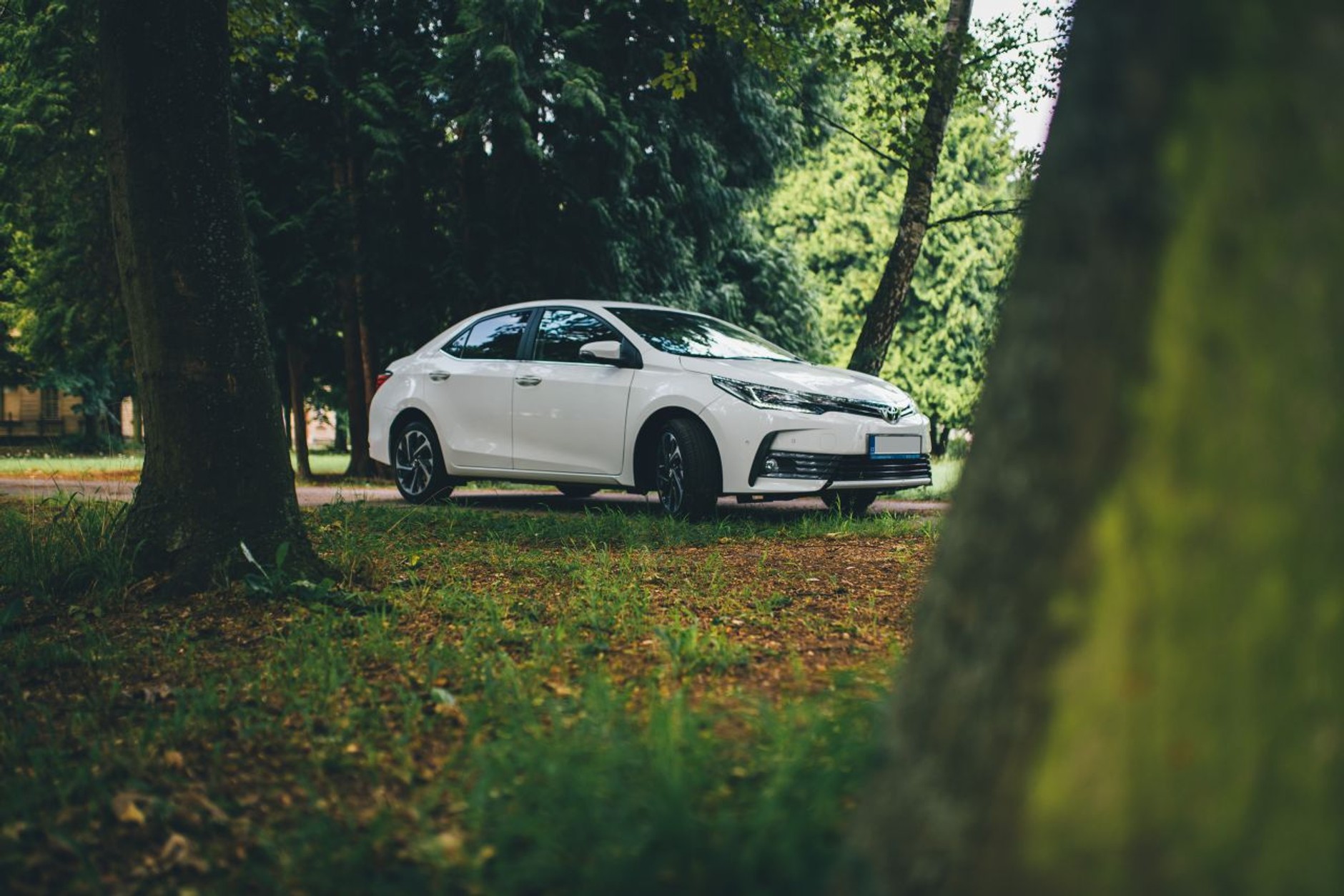 Toyota Corolla była najczęściej oferowanym autem używanym w I kwartale 2022 r.