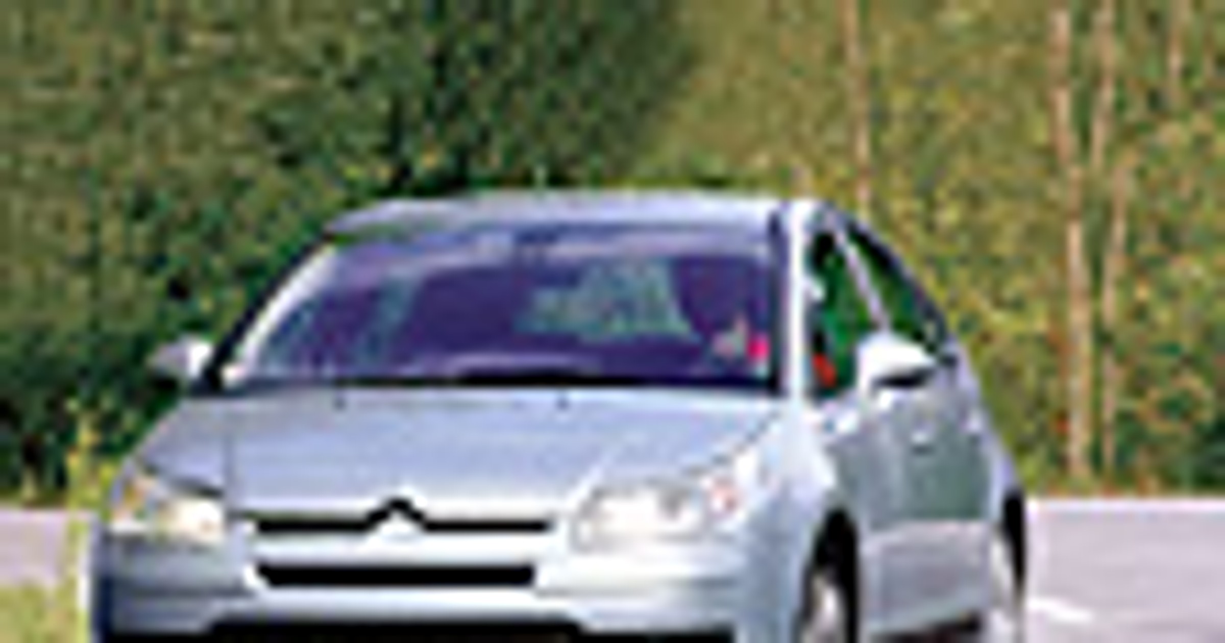 Czy Citroen ma nosa?