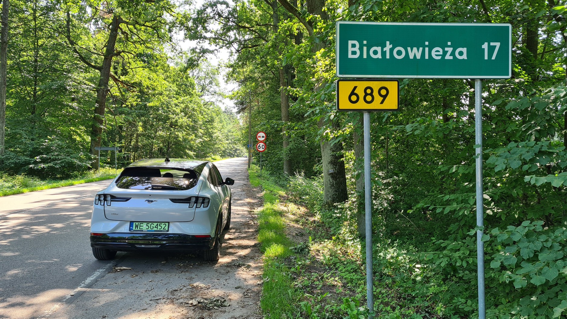 Ford Mustang Mach-E AWD 98 kWh