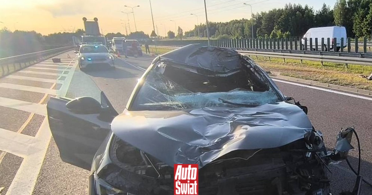 To nie był crash-test. Po zderzeniu z łosiem auto nadaje się do kasacji