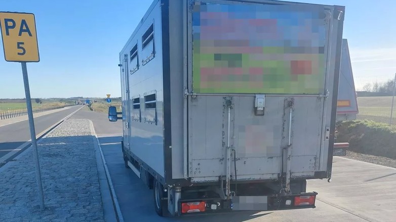 Transport cielaków przekraczał masę o ponad 120 proc.