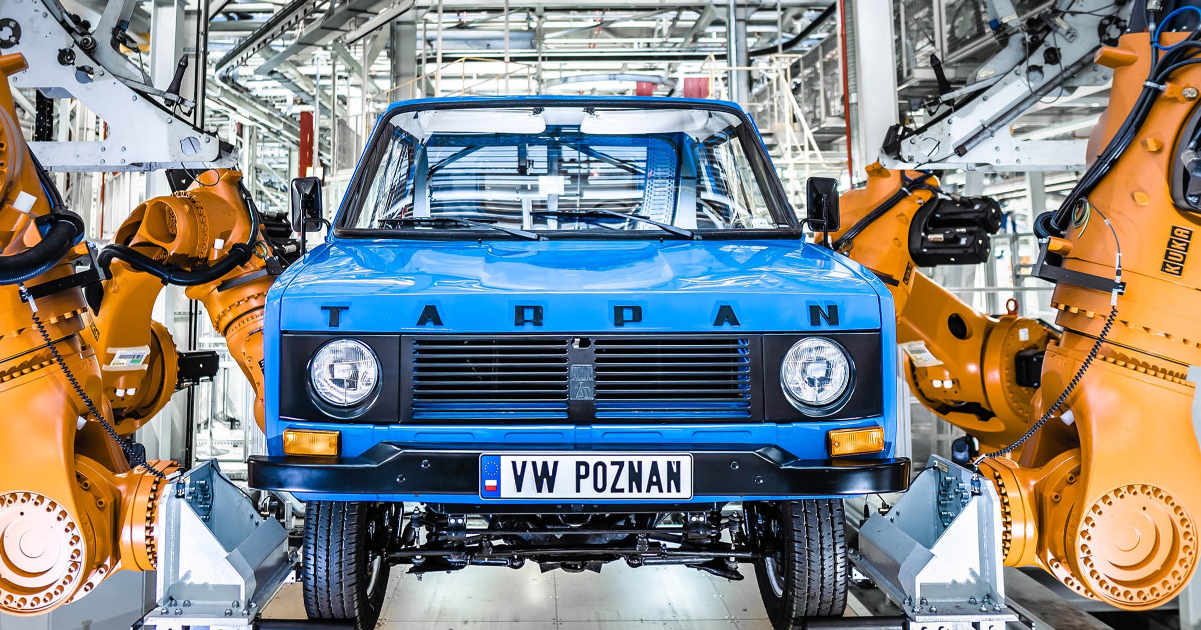Tarpan
