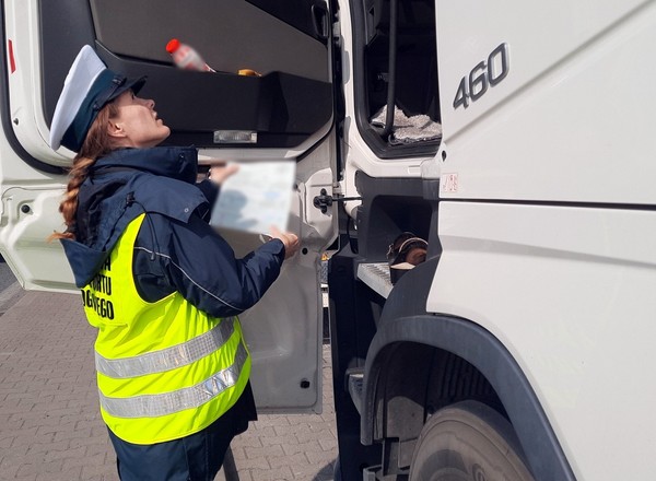 Ciężarówka z Rosji jechała do Niemiec, inspektorzy unieważnili dokument i wskazali parking