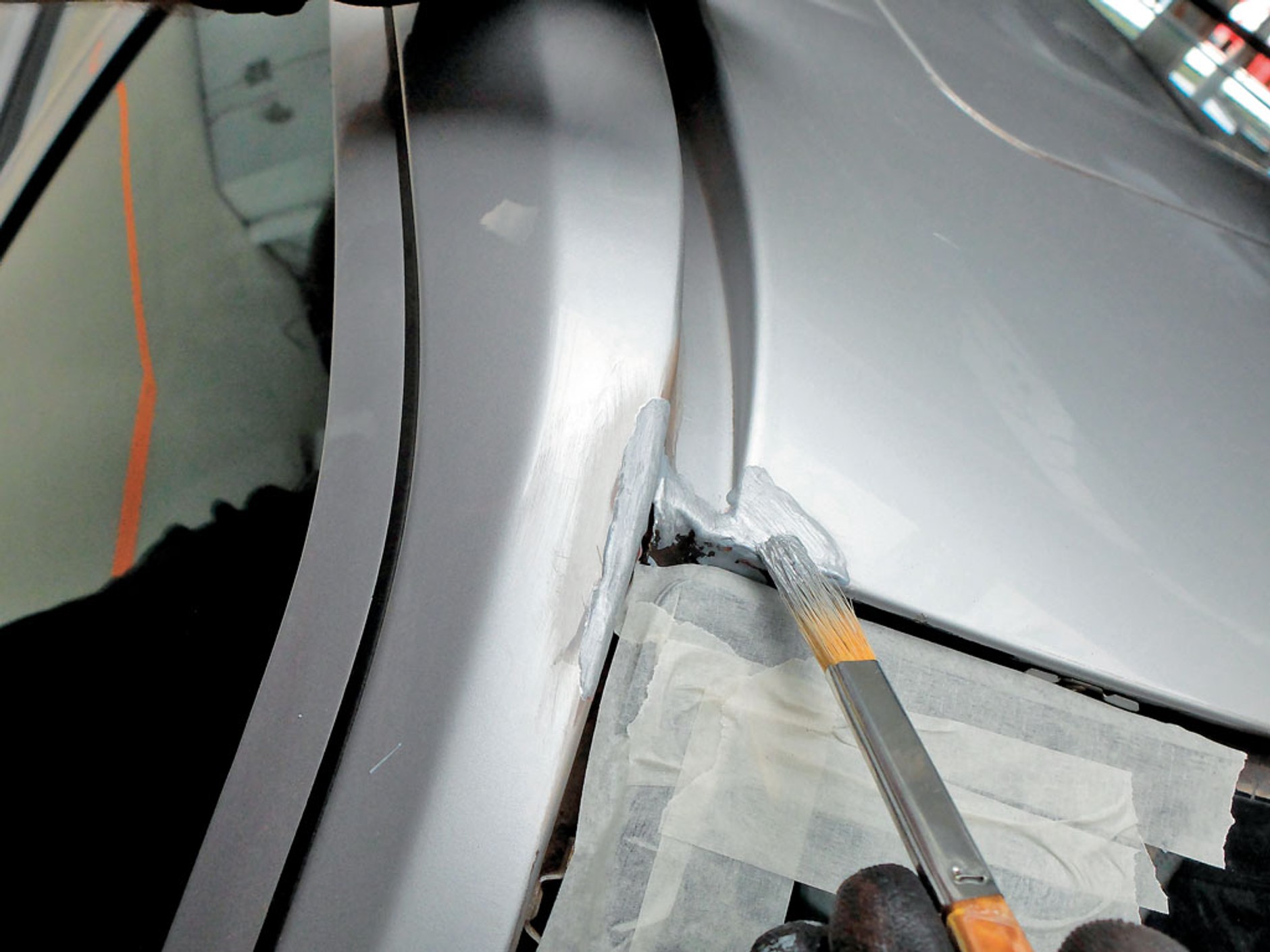 Co się kryje pod purchlem, czyli... przykra niespodzianka