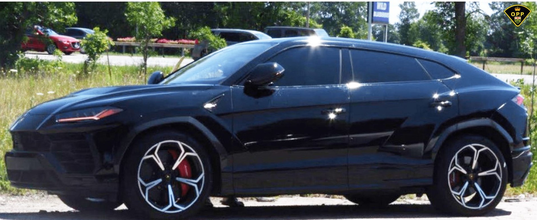 Kanada - skradzione pojazdy